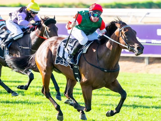 Perth’s Queen could meet King at Royal Ascot