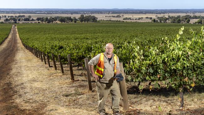 Colbinabbin Estate vineyard manager Colin Neate. Heathcote wine producers are concerned their wishes will be overlooked as the government considers an 800Ha solar farm in the middle of the renowned region. Picture: Alex Coppel