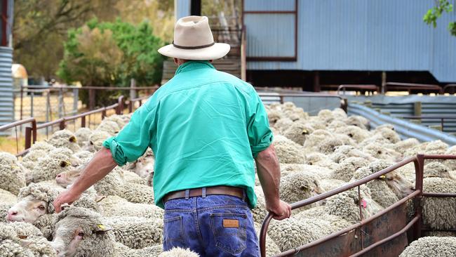 The NFF says a scheme such as the UK’s to pay farmers to retire is not the answer for Australia. File picture: Zoe Phillips