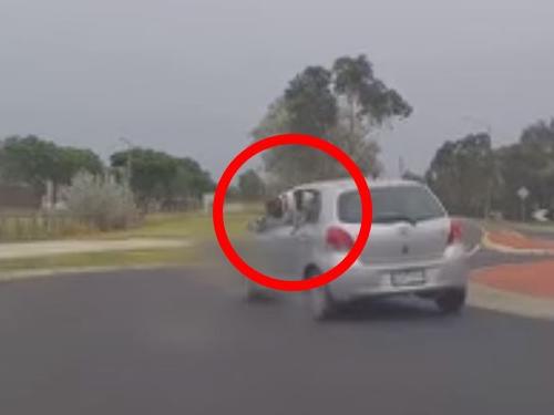 Dashcam has captured the shocking moment a pet dog fell from a moving car as it navigated a roundabout in Melbourne. Vision: Dash Cam Owners Australia