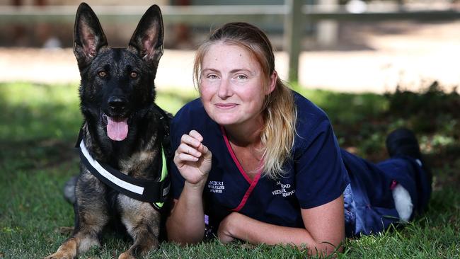 Nicky Wright’s German Shepherd Ada becomes special detection dog | The ...