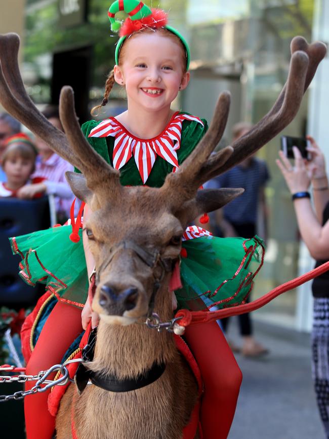 A little girl rides a reindeer (red deer) in the parade. Picture: Tim Marsden