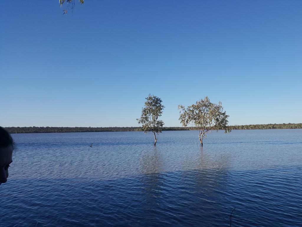 ‘It also offers high value for resilience to climate change which is critical for biodiversity protection’.