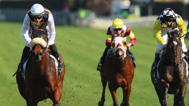 Plymouth Road wins at Royal Randwick on June 23. Picture: Getty Images