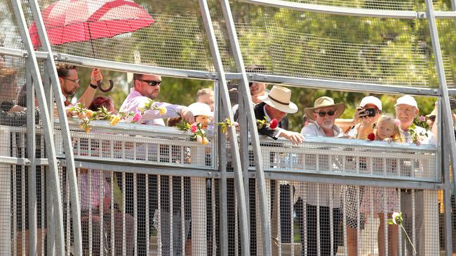 Roses are thrown onto the tracks of Granville’s Bold St Bridge each year to commemorate Australia’s worst rail tragedy.