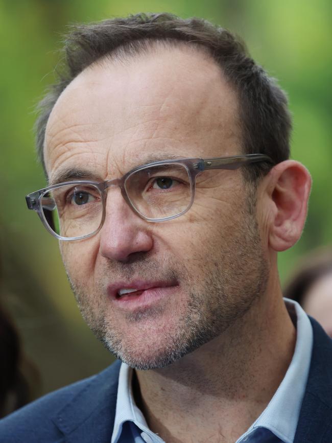Former Greens leader Adam Band. Picture: NewsWire/David Crosling