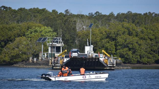 A humpback whale and calf were spotted near the Burns Point Ferry in the Richmond River at Ballina.