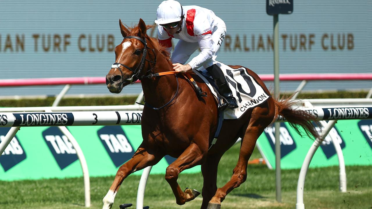 Land Legend is the favourite for the Metropolitan at Randwick on Saturday. Photo: Jeremy Ng/Getty Images.