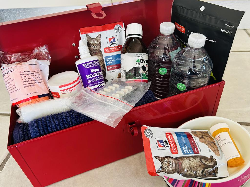 NQ's pet owners should pack a pet emergency kit to prepare for future cyclone emergencies. Picture: NQ Care.