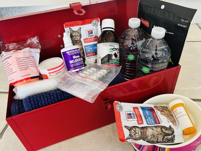 NQ's pet owners should pack a pet emergency kit to prepare for future cyclone emergencies. Picture: NQ Care.