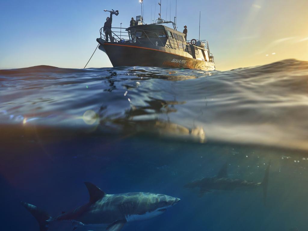 Rockers KISS will be holding a concert on-board a shark diving boat at Port Lincoln, South Australia. Picture: Robert Lang