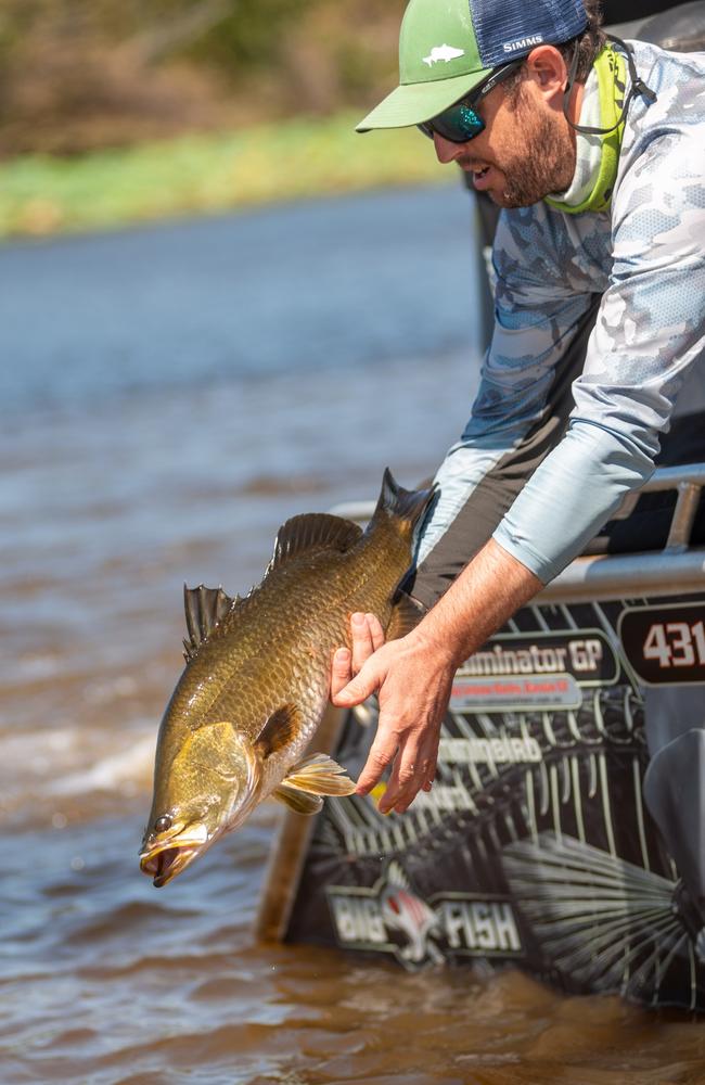 Nice fishy. The competition sees fishers scouring NT waterways for the prized million-dollar tags. Picture: Che Chorley/Million Dollar Fish