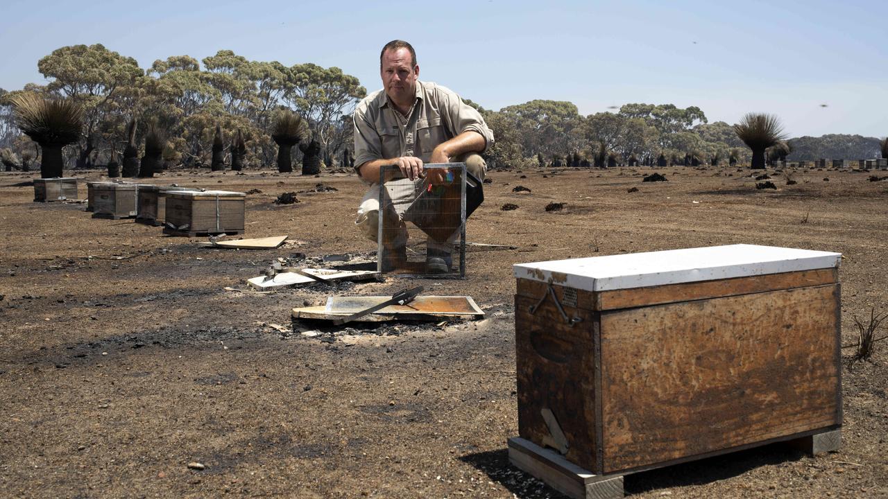 Mark Harte with his fire-destroyed Ligurian bee hives at Hanson Bay. Picture: Emma Brasier