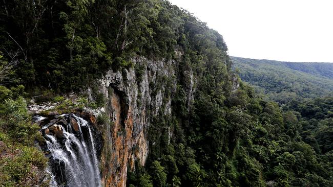 Purling Brook Falls, Springbrook. Picture: Jerad Williams