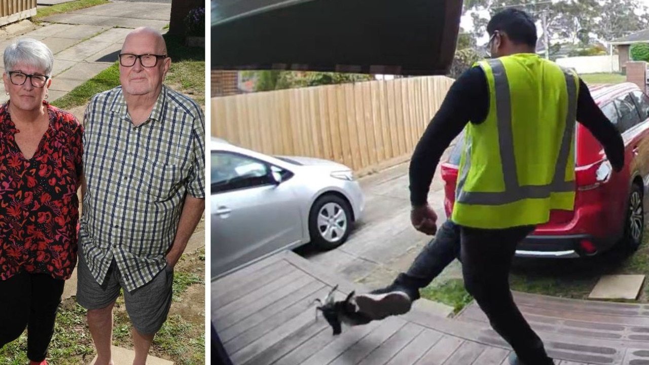 CCTV catches delivery driver’s ‘disgusting’ magpie act