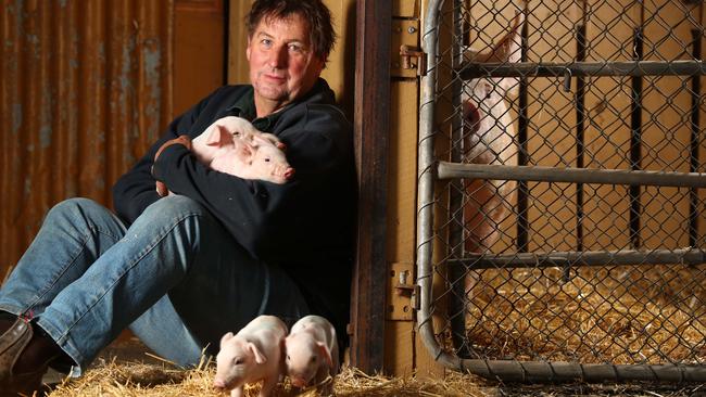 Gumshire Park owner Michael Blenkiron says discouraging pork consumption is “a bit of a worry” for the industry. Picture: Tait Schmaal