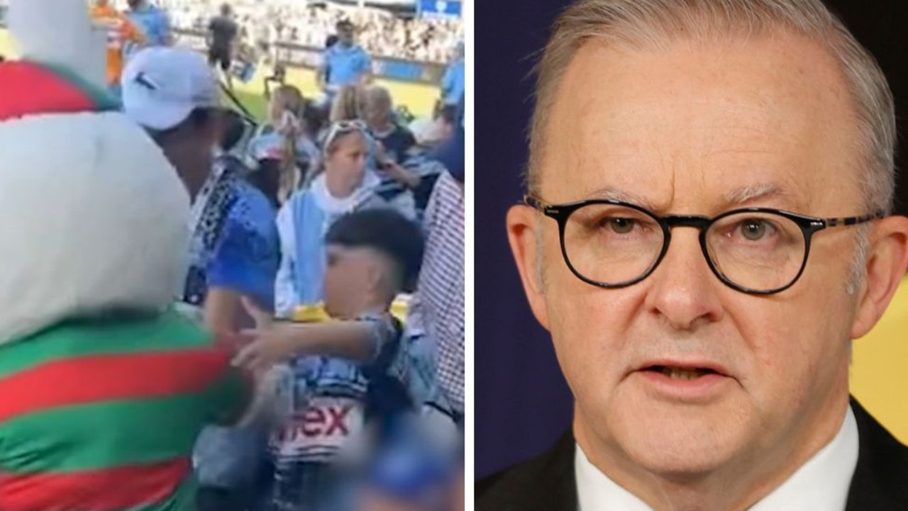 Albo defends Bunnies mascot over incident