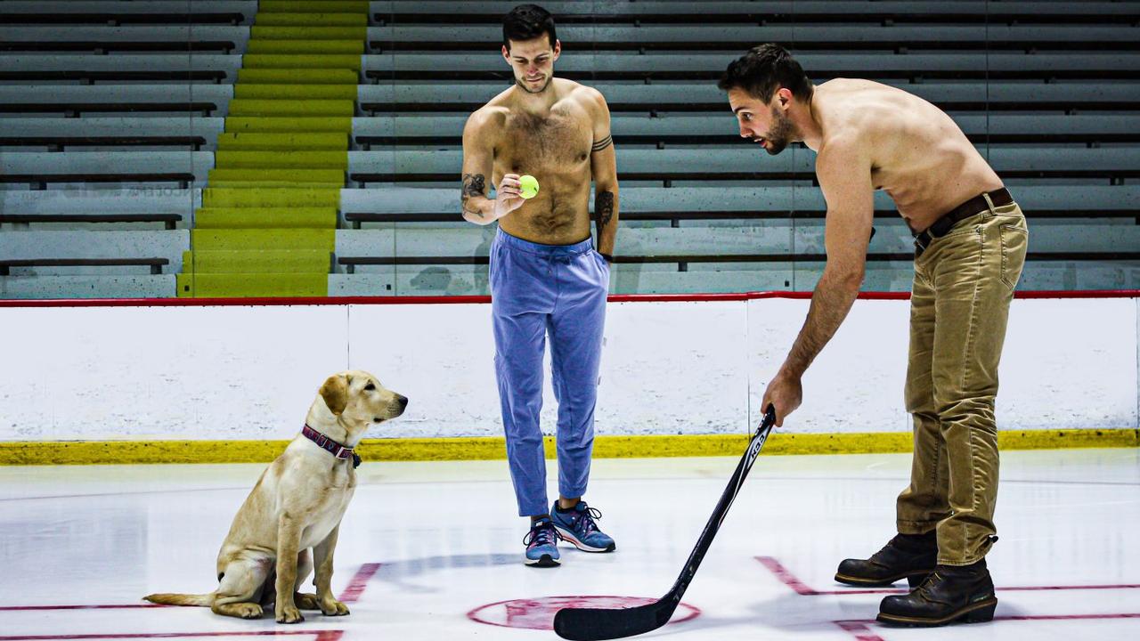 Cornell University’s chapter of the veterinary fraternity releases the Men of the Vet School calendar each year to raise money for the university’s Hospital for Animals as well as for Guiding Eyes for the Blind. It isn’t exclusively dogs, but this year this good boyo appeared for a star turn on the ice.