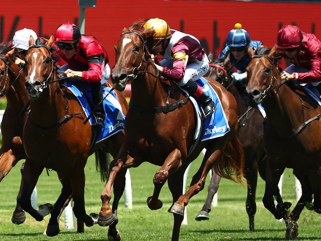 SYDNEY, AUSTRALIA - FEBRUARY 10: Zac Lloyd riding Castanya wins Race 2 Darley Lonhro Plate during "Inglis Millennium Day" - Sydney Racing at Royal Randwick Racecourse on February 10, 2024 in Sydney, Australia. (Photo by Jeremy Ng/Getty Images)