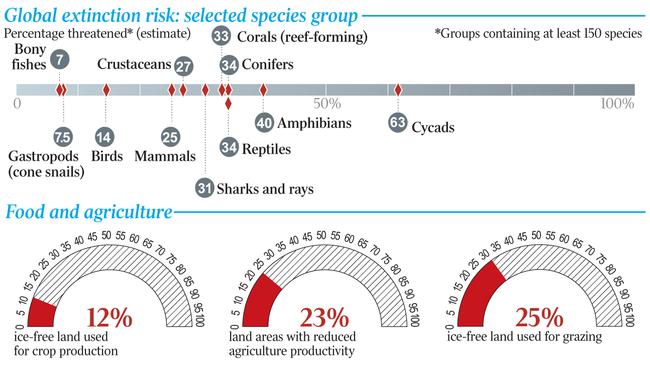 WEB _ INquirer graphic 3