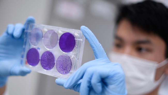 Clinical trials in Brazil of a Chinese-made vaccine against COVID-19 have shown "promising" results, and a widespread vaccination campaign could begin as early as December, the governor of Sao Paulo state said on September 9, 2020. Picture: AFP