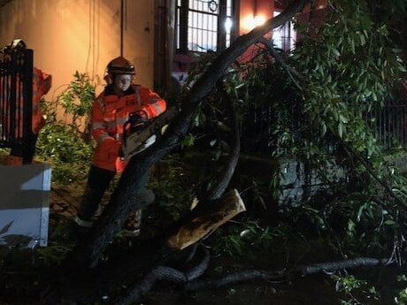 A volunteers from the SES City of Sydney unit removes a fallen tree.