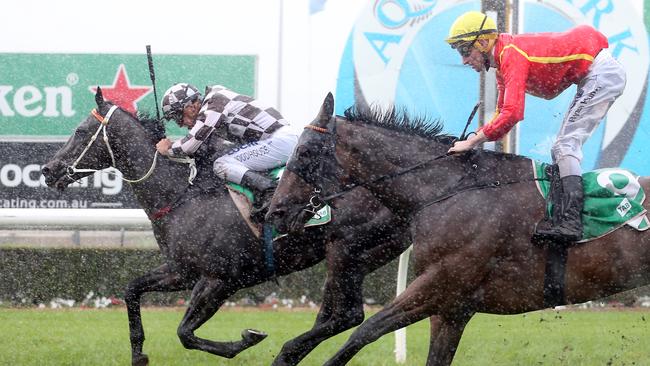 Racing at Gold Coast Turf Club.Winner of race number 4 PEPPINO. Jockey was Jarrod Woodhouse, trainer is John Smerdon.Picture by Richard Gosling