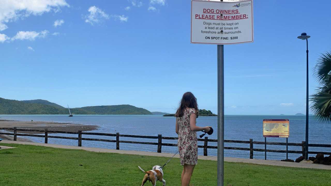 are dogs allowed at cedar beach