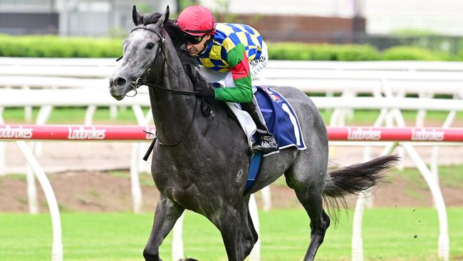 Boom Queensland two-year-old Can't Recall One will contest the $1m BRC Sires’ Produce Stakes on Saturday. Picture: Grant Peters, Trackside Photography.