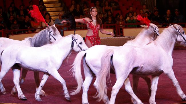 Stardust Circus in Cairns. Wonona West and her Liberty Horses.