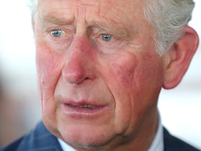 TOKYO, JAPAN - OCTOBER 23: Prince Charles, Prince of Wales visits HMS Enterprise at Harumi Pier on October 23, 2019 in Tokyo, Japan. The Prince of Wales will meet with senior figures from the Japan Climate Leaders Partnership (JCLP), and some people who are at the forefront of responding to the challenges of plastics in the ocean and climate change.  (Photo by Chris Jackson/Getty Images)