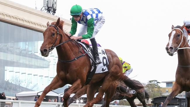 Sheva will attempt to pull off an upset win in Saturday's Group 3 Sir John Monash Stakes at Caulfield. Picture: Racing Photos