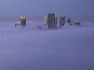 Heavy fog grinds Sydney travel to halt