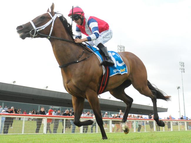 Gala Queen ridden by Joe Bowditch wins the Sportsbet Future Stars Series Heat 3 at Sportsbet Pakenham on January 17, 2025 in Pakenham, Australia. (Photo by Ross Holburt/Racing Photos via Getty Images)