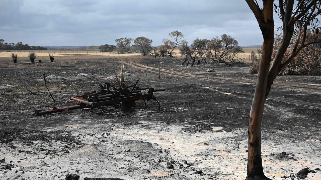 The government announced that it wants to change people’s perception of Australia so that tourists will visit bushfire affected areas. Picture: Holly Robertson/News Corp