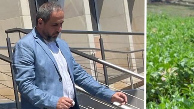 Youssef Mohamad Awad told police he did not know about an illegal tobacco crop worth over $19m in tax revenue growing on his farm until he visited the property 18 months after he purchased it.