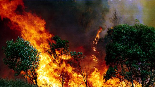 ​Emergency fire services are currently on scene at a bushfire burning at Pile Gully State Forest, south west of Gayndah. (Picture: File)