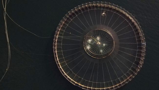 This picture taken on March 25, 2025 shows an aerial view of a salmon pen belonging to the Tassal company located off Charlotte Cove, in the D'Entrecasteaux Channel in Tasmania. (Photo by Gregory PLESSE / AFP)