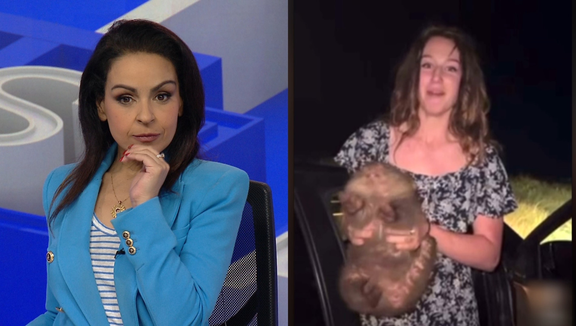 ‘Deport her’: Australians turn on wombat woman