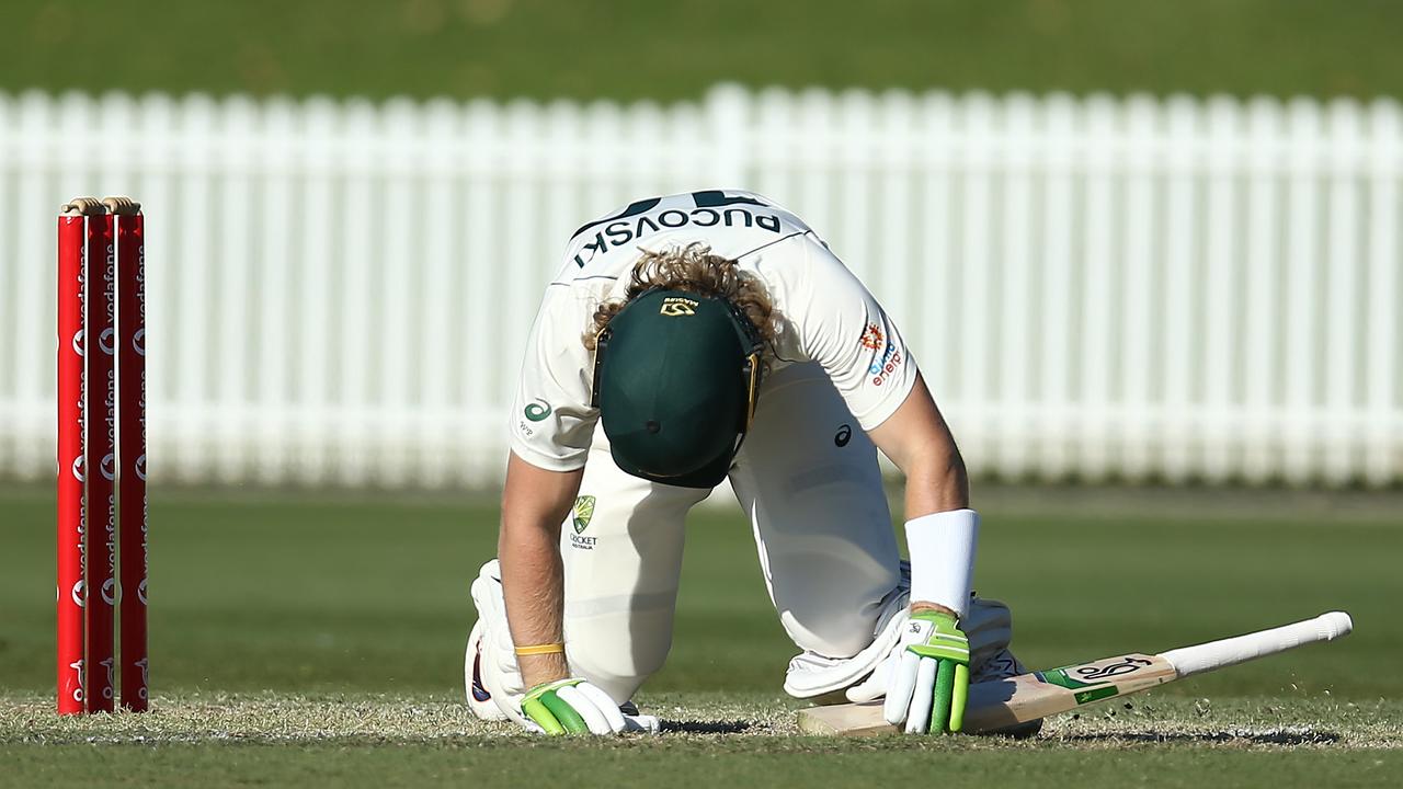 Pucovski hits the ground after being felled by a bouncer on Tuesday.