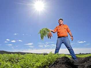 Kalfresh Vegetables CEO and co-owner Richard Gorman. Picture: Cordell Richardson