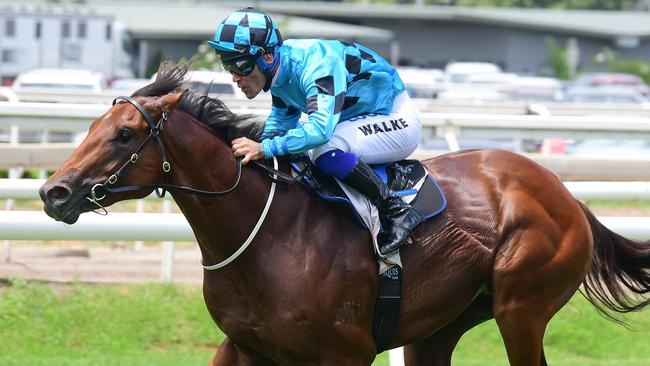 Dubious has drawn an ideal gate in the Magic Millions 2Yo Classic. Picture: Trackside Photography