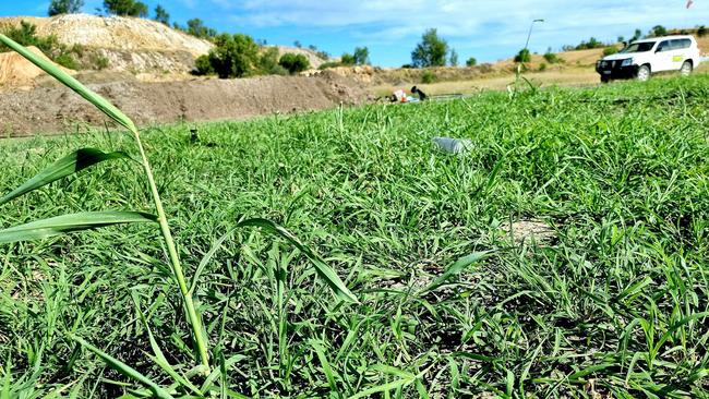 SoilCyclers turned the Ensham mine’s waste overburden and saline water into green pastures in six weeks. Picture: Contributed