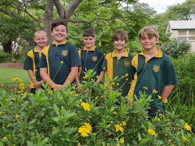 Tingoora State School 2022 leaders (right to left) Will, Cass, Jaidynn, Chase and Charlie