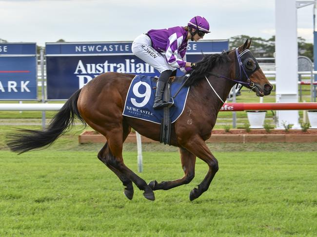 Adamdeeant can run a big race at good each-way odds at Taree on Sunday. Picture: Bradley Photos