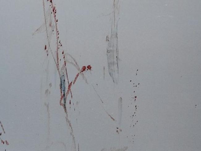 Vertical blood transfer patterns and gouge marks.- Picture: Supreme Court of NSW