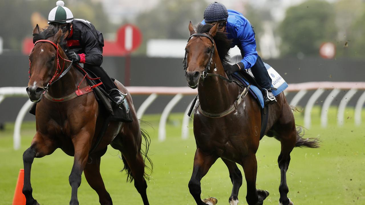 Anamoe, ridden by James McDonald (blue silks) trials at Rosehill. Picture: Jonathan Ng