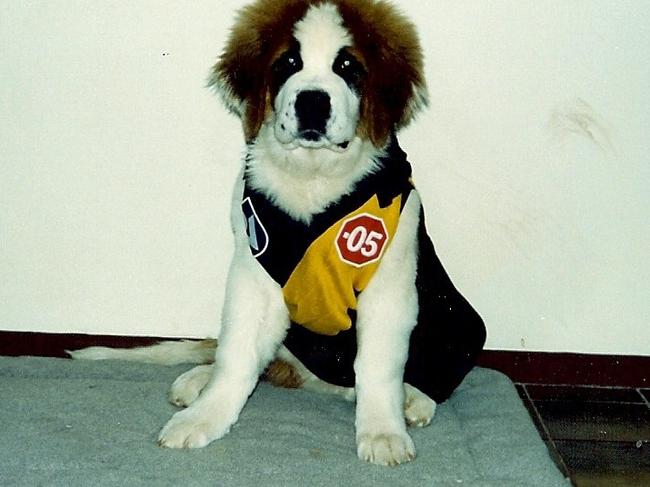 Garry Embleton’s dog once slipped on the jumper.