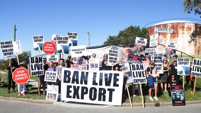 Activists protesting against live cattle exports.