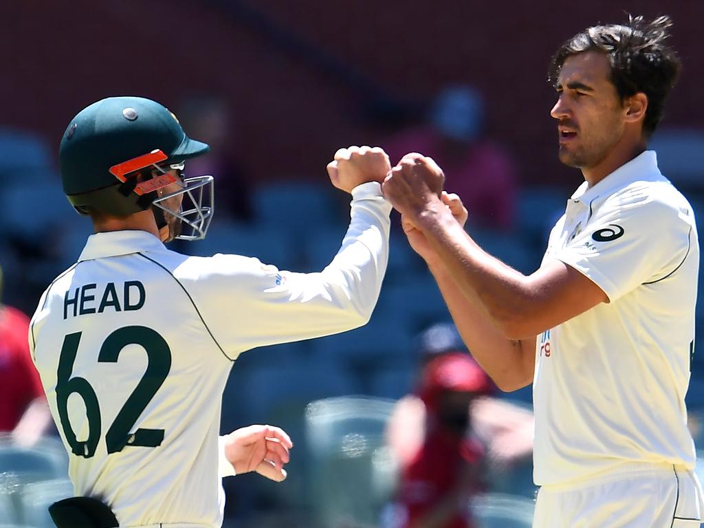 Mitchell Starc celebrates the wicket of Indian batsman Umesh Yadav.